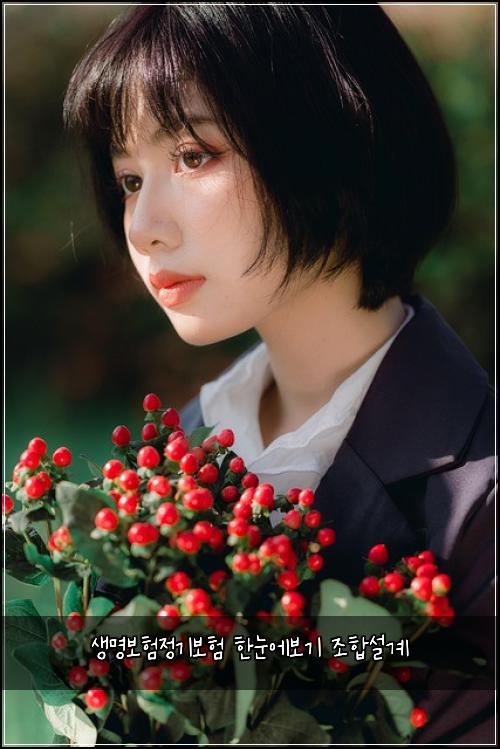 생명보험정기보험 한눈에보기 조합설계
