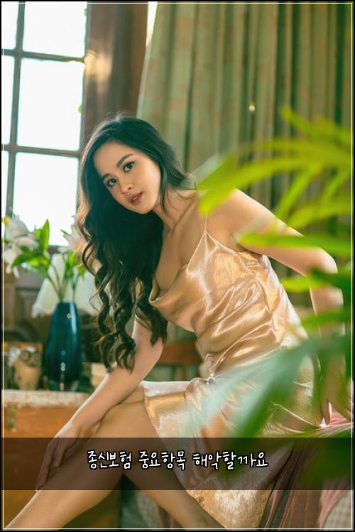 ์ข
์ ๋ณดํ ์ค์ํญ๋ชฉ ํด์
ํ ๊น์
