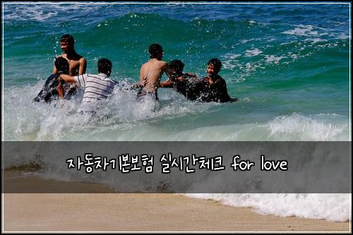 ์๋์ฐจ๊ธฐ๋ณธ๋ณดํ ์ค์๊ฐ์ฒดํฌ for love