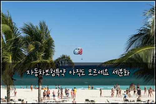 자동차보험특약 아직도 모르세요 세분화