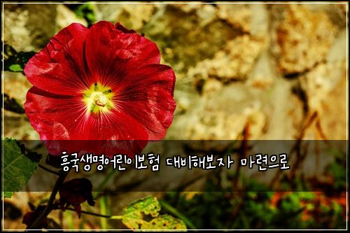 흥국생명어린이보험 대비해보자  마련으로