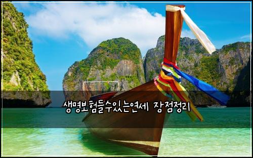 ์๋ช
๋ณดํ๋ค์์๋์ฐ์ธ ์ฅ์ ์ ๋ฆฌ