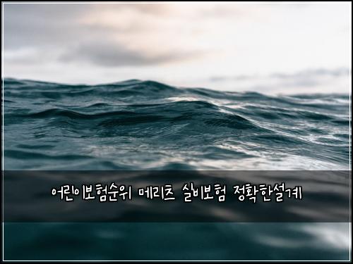 어린이보험순위 메리츠 실비보험 정확한설계