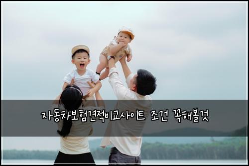 자동차보험견적비교사이트 조건 꼭해볼것
