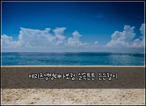 ๋ฉ๋ฆฌ์ธ ์๋ช
ํ์๋ณดํ ์ค์ํผํผ ๋ ๋ ํจ์ด