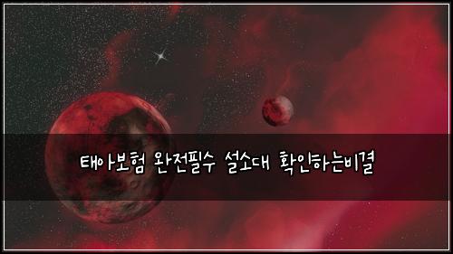 태아보험 완전필수  설소대 확인하는비결