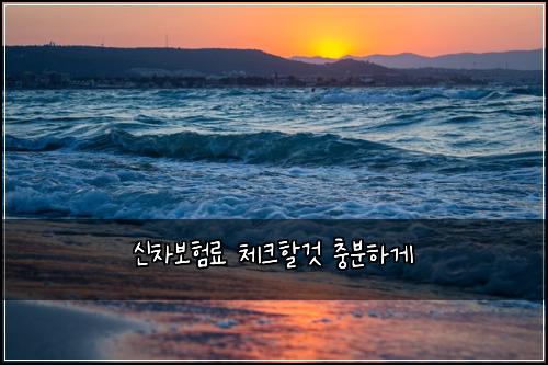 신차보험료 체크할것 충분하게