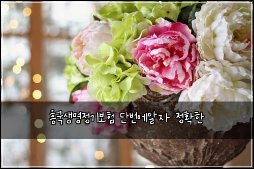 ํฅ๊ตญ์๋ช
์ ๊ธฐ๋ณดํ ๋จ๋ฒ์์์ ์ ํํ