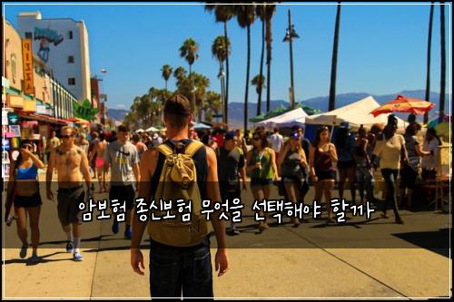 암보험 종신보험 무엇을 선택해야 할까