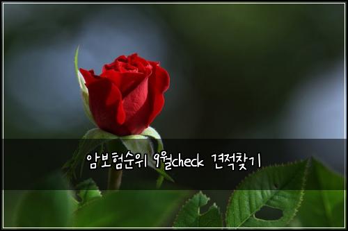 암보험순위 9월check 견적찾기