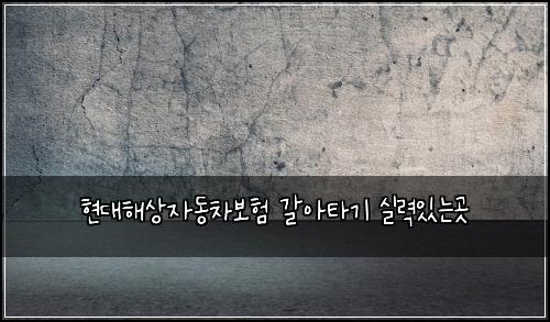 ํ๋ํด์์๋์ฐจ๋ณดํ ๊ฐ์ํ๊ธฐ ์ค๋ ฅ์๋๊ณณ