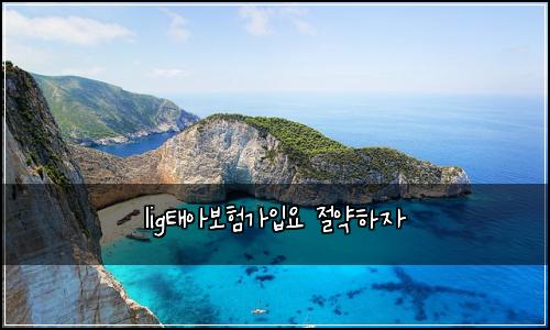 lig태아보험가입요 절약하자