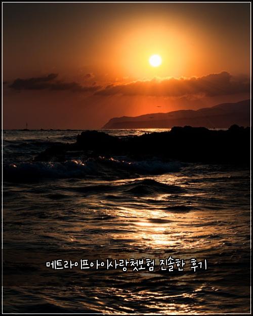 메트라이프아이사랑첫보험 진솔한 후기