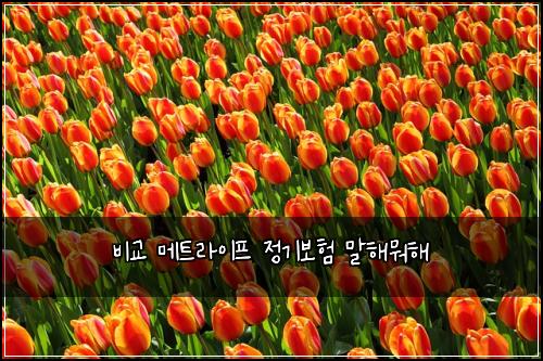 ๋น๊ต ๋ฉํธ๋ผ์ดํ ์ ๊ธฐ๋ณดํ ๋งํด๋ญํด