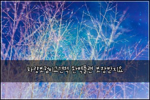 μ°¨λ보νλΉκ΅κ²¬μ μλ²½νλ 보μ₯λ°μ§μ