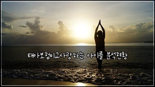태아보험비교사랑하는 아이를 분석현황