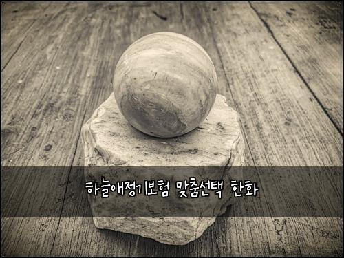 ํ๋์ ์ ๊ธฐ๋ณดํ ๋ง์ถค์ ํ ํํ