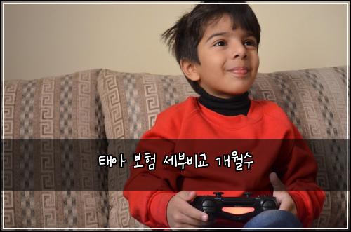 태아 보험 세부비교  개월수
