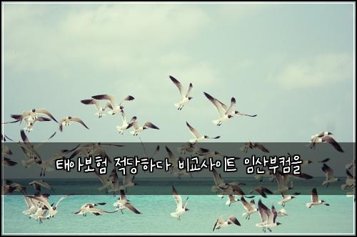 태아보험 적당하다  비교사이트 임산부컴을