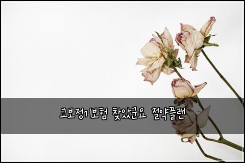 교보정기보험 찾았군요  절약플랜