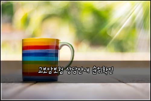 교보암보험 상담안내  순위확인