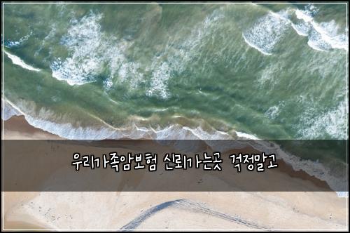우리가족암보험 신뢰가는곳  걱정말고