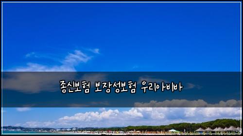 종신보험 보장성보험  우리아비바