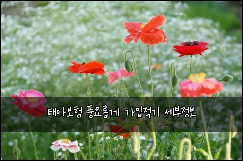 ํ์๋ณดํ ํ์๋กญ๊ฒ ๊ฐ์
์ ๊ธฐ ์ธ๋ถ์ ๋ณด