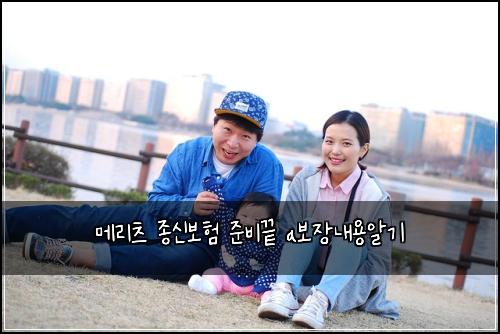 메리츠 종신보험 준비끝  a보장내용알기