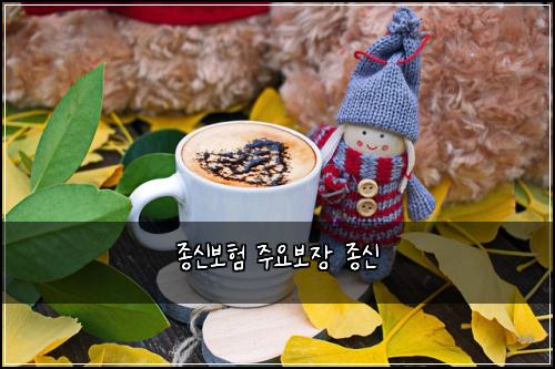 ์ข
์ ๋ณดํ ์ฃผ์๋ณด์ฅ ์ข
์