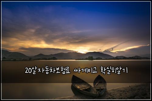 20살자동차보험료 싸게비교 확실히알기
