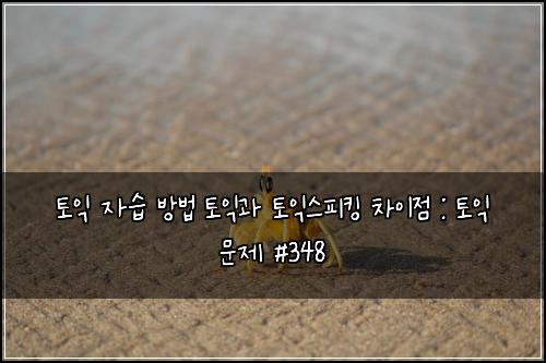 토익 자습 방법 토익과 토익스피킹 차이점 : 토익 문제 #348
