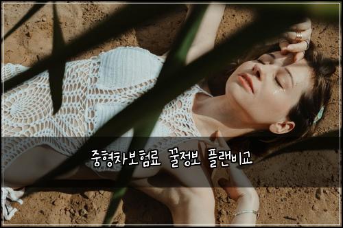 중형차보험료 꿀정보 플랜비교
