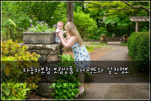 자동차보험 보험상품 다이렉트와 알찬정보