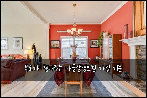 부모가 챙겨주는 아들생명보험 가입 기준