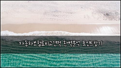 자동차보험료비교견적 완벽분석 포인트찾기