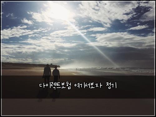다이렉트보험 여기서보자  정기