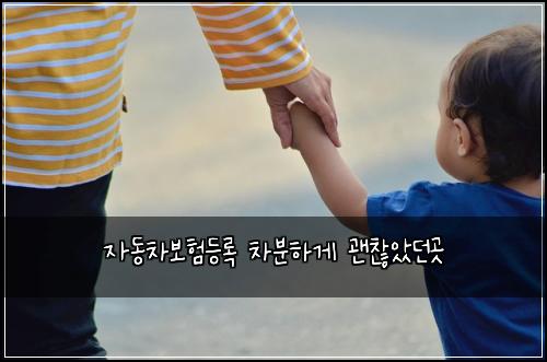 ์๋์ฐจ๋ณดํ๋ฑ๋ก ์ฐจ๋ถํ๊ฒ ๊ด์ฐฎ์๋๊ณณ
