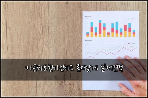 자동차보험가입비교 좀더낮게 실제견적