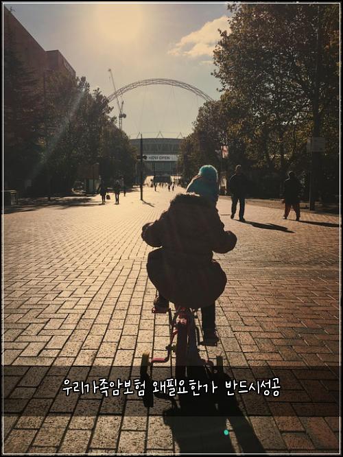 우리가족암보험 왜필요한가  반드시성공