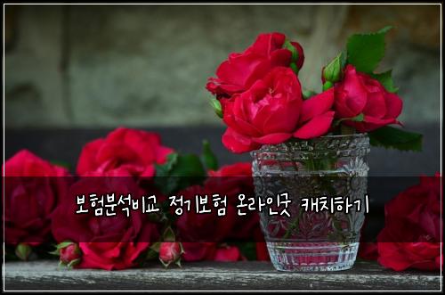 ๋ณดํ๋ถ์๋น๊ต ์ ๊ธฐ๋ณดํ ์จ๋ผ์ธ๊ตฟ ์บ์นํ๊ธฐ