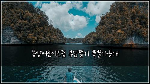 ๋์์ด๋ฆฐ์ด๋ณดํ ๋ถ๋ด๋๊ธฐ ํน๋ณ๊ฐ๊ณต๊ฐ