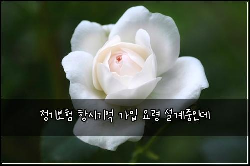 ์ ๊ธฐ๋ณดํ ํญ์๊ธฐ์ต ๊ฐ์
์๋ น ์ค๊ณ์ค์ธ๋ฐ
