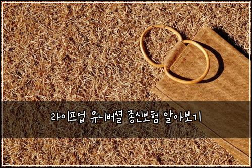 라이프업 유니버셜 종신보험 알아보기