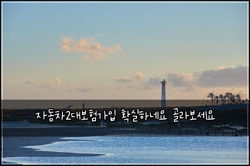 자동차2대보험가입 확실하네요 골라보세요
