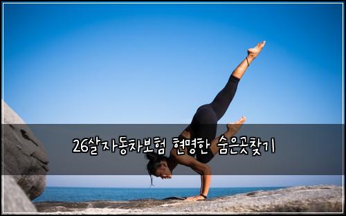 26살자동차보험 현명한  숨은곳찾기