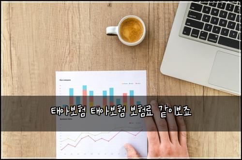 νμ보ν νμ보ν 보νλ£ κ°μ΄λ³΄μ£