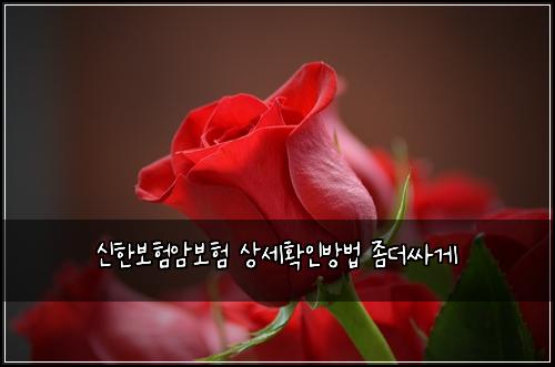 ์ ํ๋ณดํ์๋ณดํ ์์ธํ์ธ๋ฐฉ๋ฒ ์ข๋์ธ๊ฒ