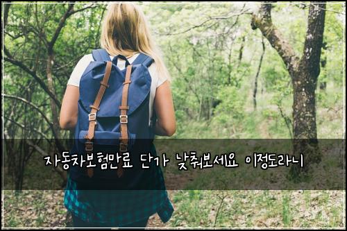 자동차보험만료 단가 낮춰보세요 이정도라니