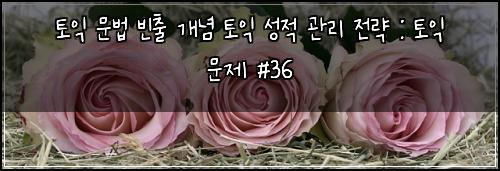 토익 문법 빈출 개념 토익 성적 관리 전략 : 토익 문제 #36